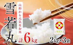 雪若丸  6kg