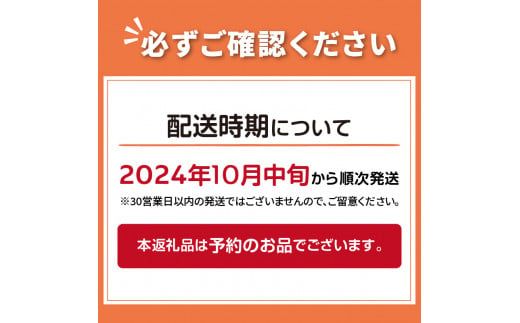 【予約：2024年10月中旬から順次発送】玉葱 20kg Lサイズ以上 玉ねぎ塩こしょう 1本付き ( タマネギ 玉葱 野菜 調味料 塩コショウ )【148-0013】