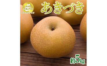 【先行予約限定】 茨城県産【あきづき梨】約5kg【茨城県共通返礼品　かすみがうら市産】※2024年8月下旬～9月下旬頃に順次発送予定 ※離島への配送不可