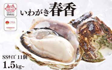 【ブランドいわがき春香】海士町産 いわがき 岩牡蠣 SSサイズ 11個 春香 殻付き 新鮮クリーミーな高級岩牡蠣 冷凍 生食 牡蠣ナイフ 説明書付き 1.54kg～1.87kg