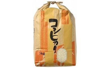 【輪島のお米】町野町産コシヒカリ5kg（精米）