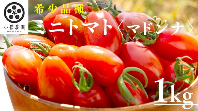 y錧΂݂炢sz~jg}gi}hij1kg y1{Jnz ~jg}g }hi Ƃ܂ Rs g}g  [AY08-NT]