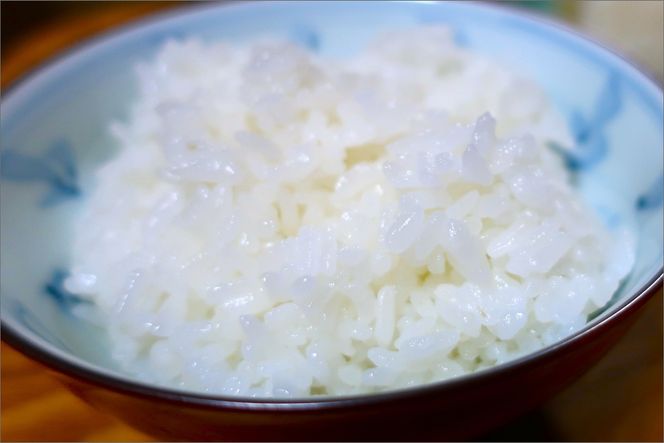 【先行予約】2023年産　京丹後産生物多様性米コシヒカリ「ゲンゴロウ郷の米」5kg箱入　CM00001