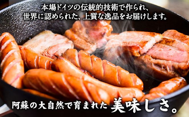 DLG7連続金賞受賞！『阿蘇の逸品』ハム・ソーセージ詰め合わせ《30日以内に出荷予定（土日祝を除く）》物産館自然庵 ハム ソーセージ ウィンナー ベーコン---sms_csiznham_30d_26_29000_7i---