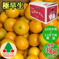 極早生 有田 みかん 特秀 M ～ SS サイズ 3kg 南泰園 和歌山 有田みかん BS603