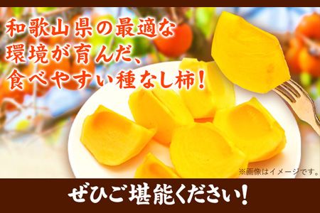 先行予約【秋の味覚】和歌山 産 の たねなし 柿 2L～4Lサイズ 約 4kg（化粧箱入り）厳選館《2026年10月上旬-11月上旬頃出荷》和歌山県 日高川町 柿 カキ かき ジューシー フルーツ たねなし---wshg_tmt253_10j11j_25_16000_4kg---