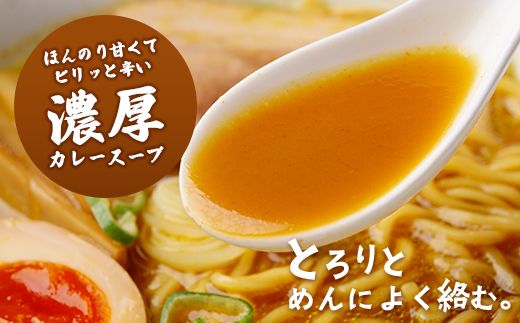 室蘭地球岬カレーラーメン5袋（10食入） MROV001