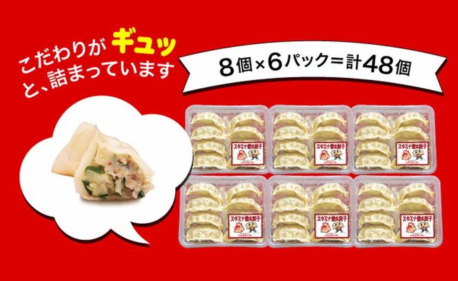 「宇都宮餃子館」健太餃子 960g（48個）≪冷凍餃子 冷凍食品 ギョーザ グルメ 食品 惣菜 中華惣菜 点心 中華≫
