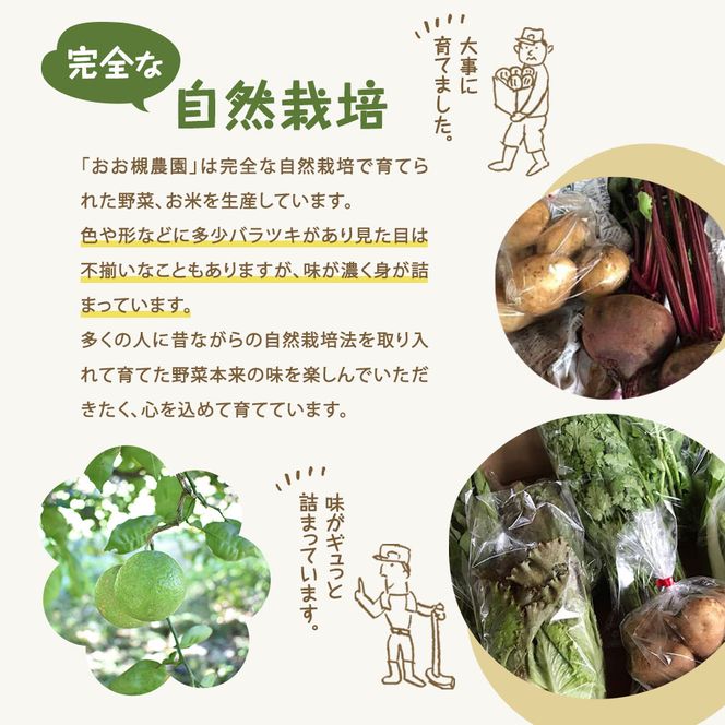 KAG-2　【3ヶ月定期便】百笑オーガニック野菜セット（8～10品目）