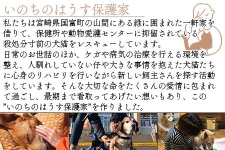 ＜保健所犬猫レスキュー【返礼品なしのご寄附】＞寄付金額100,000円※お礼状をお送りいたします。【返礼品なし 保護 動物愛護 いぬ ねこ イヌ ネコ 応援 宮崎県 国富町 いのちのはうす保護家】【a0625_in】