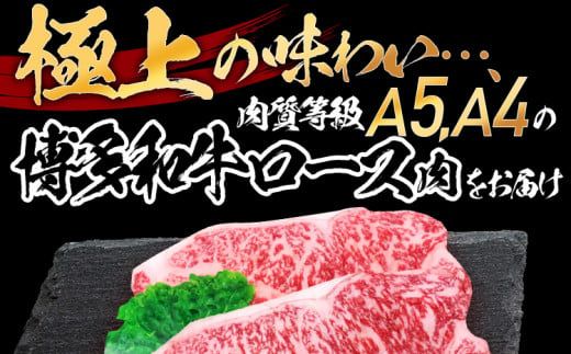 数量限定　博多和牛ロースステーキ２枚入　500g