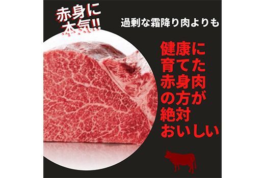 京都いづつ屋 厳選 亀岡牛 赤身 すき焼き用 600g (300g×2パック）≪訳あり 和牛 牛肉 冷凍 すき焼き ふるさと納税牛肉≫