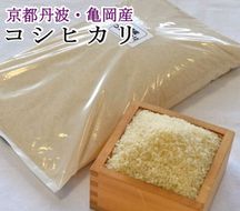 令和5年産 米 10kg 京都丹波産 コシヒカリ 白米＜JA京都 たわわ朝霧＞ 発送に合わせて精米