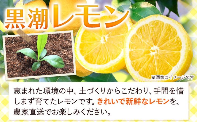 加工用 黒潮 レモン 約 3kg +90g（傷み補償分）和歌山有田産 防腐剤