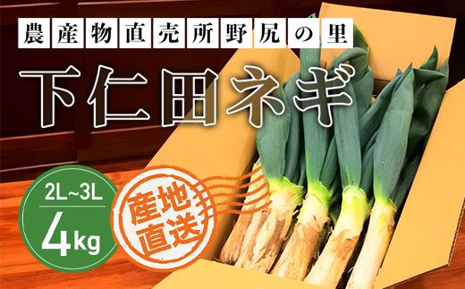 下仁田ネギ２L～３Lサイズ【4㎏】　ANAR001