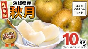  《 先行予約 》 【 秀品 】 茨城県産 梨 秋月 10kg （茨城県共通返礼品：石岡市） フルーツ 果物 なし ナシ 旬 新鮮 旬 期間限定 甘い 国産 【 2025年9月中旬頃より発送開始 】 [CV003us]