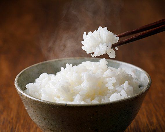 令和5年 自然栽培米 コシヒカリ 7分づき 3kg×1 [農家にしの 石川県 宝達志水町 38600579] 米 お米 ご飯 ごはん
