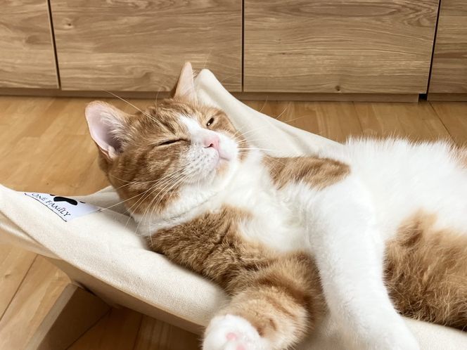 【リアルダウン使用】 プレミアム ハンモックタイプの 羽毛ペットベッド 天然鉱石配合 犬や猫が喜ぶ！ H162-035