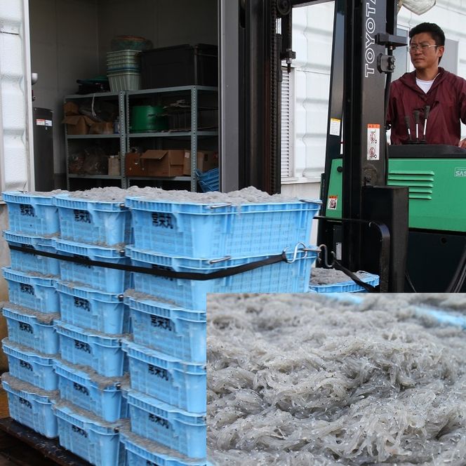 しらす屋のしらす干し １ｋｇ（ご家庭用） H006-073