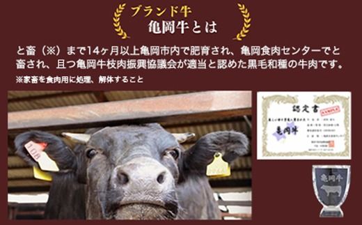 亀岡牛 極上 もつ鍋 セット【牛もつ 600g入】＜亀岡牛専門 木曽精肉店＞≪和牛 牛肉≫ ※北海道・東北・沖縄・その他離島への配送不可