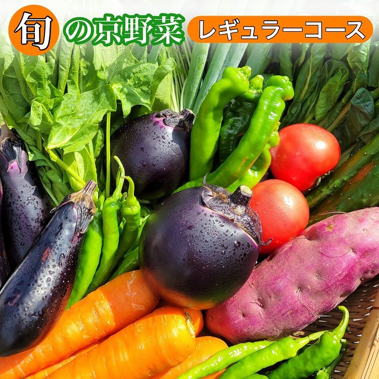 旬の京野菜 レギュラーコース≪京都 丹波 野菜 ふるさと納税野菜≫ ※沖縄・離島・諸島へのお届け不可