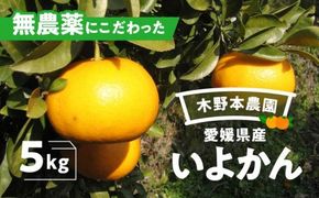 【栽培期間中農薬不使用】【先行受付】【数量限定】農園直送！愛媛県産 いよかん 5kg ｜ 柑橘 みかん ミカン 蜜柑 フルーツ 果物 ギフト 贈り物 栽培期間 無農薬 愛媛県産　※2024年12月下旬～2025年2月下旬頃に順次発送予定