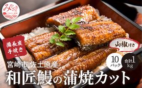 備長炭手焼き 宮崎市佐土原産 和匠うなぎの蒲焼カット10パックセット(計1kg) 山椒付き_M080-003_01