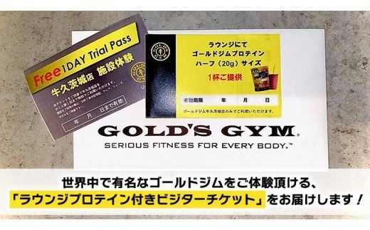 ゴールドジム ビジターチケット 10枚セット ゴールドジム草津