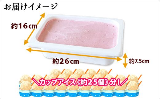 ykCqz608.ACXN[ Yx[ WF[g Ɩp 2bg 2L ACX e  kC q