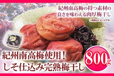 紀州南高梅使用しそ仕込み完熟梅干し800g 紀の川市厳選館《30日以内に出荷予定》梅干し　800g---wsk_tmumes_30d_22_12000_800g---