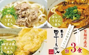 23-499．【調理が簡単】四万十の水、北海道産小麦を100％使用！各種うどん食べ比べ（とり天うどん・豚肉うどん・カレーうどん）（3食分）