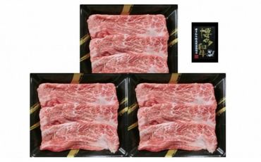 【B3-044】A4ランク 博多和牛 すき焼き肉(約500g)