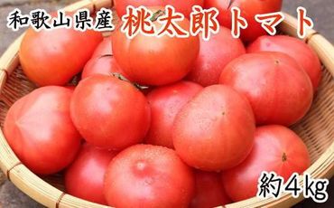 【新鮮】和歌山県産桃太郎トマト約4kg(L～2Lサイズおまかせ)★2024年6月中旬より順次発送 XH92143