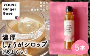 生姜好きさんにオススメ！ 濃厚 しょうがシロップ 5本セット【あまくち】国産 生姜シロップ 自家製 生姜 しょうが ショウガ ジンジャー シロップ 甘口 ドリンク 料理 調味料 高知 四万十 四万十市 しまんと 産地直送 25-963
