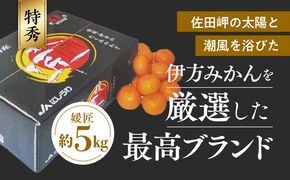 【数量限定】媛匠（ひめのたくみ）温州みかん 5kg ｜ みかん 柑橘 温州みかん 果物 フルーツ 愛媛 高級 ブランド 愛媛 ※2024年11月中旬～12月中旬頃に順次発送予定