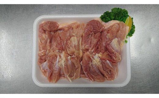 紀の国みかんどり　一匹セット