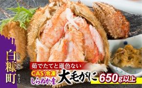 しらぬか産 CAS冷凍大サイズ毛がに【650g以上】