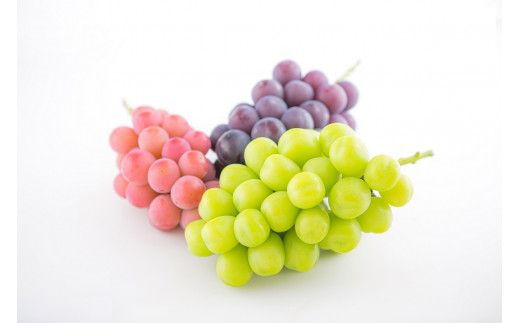 フルーツ定期便≪甲州六豊果≫全6回【3名～4名様向け】おすすめ 贈答 アミナチュール 山梨 山梨県笛吹市 定期便 065-007_v2