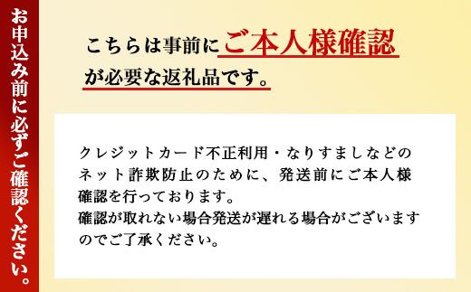 K18 2連サークルデザインチェーンネックレス　アクセサリー ファッション ギフト メンズ レディース