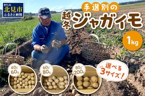 【予約：2025年2月上旬から順次発送】【選べる3サイズ】宇野さんの手拾い、手選別の越冬ジャガイモ 1kg 　( 芋 野菜 選べる )【167-0001-2025】