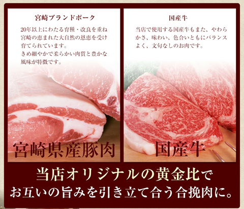 【宮崎空港で大人気!】＜馬渡のもっちり 餃子 80個＞翌月末迄に順次出荷【c001_mw_x3】 餃子の馬渡 ぎょうざ 牛肉 豚肉 宮崎餃子 特産品