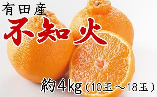 ya̎RLc쒬zmZnLc̕smΖ4kgi10`18ʁj2026N2{菇mTM29wn BZ006