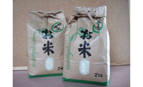 ★令和6年度産★特選米10kg　天日干し 精米済 山梨県富士川町産 棚田米 お米 こしひかり コシヒカリ 平林