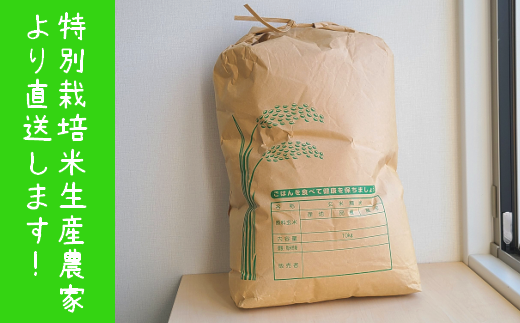 【令和7年産新米】【先行予約】ひかりファーム の ミルキークイーン - 玄米 - 10kg【2025年10月以降順次発送】《築上町》【ひかりファーム】 [ABAV012]