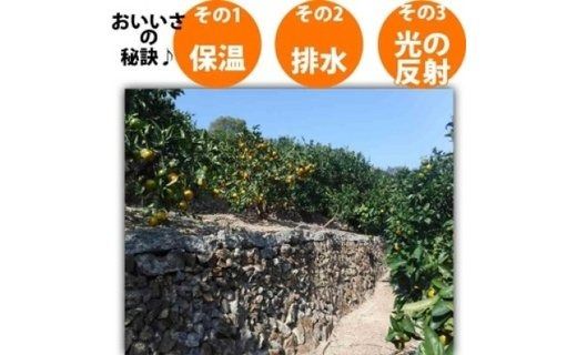 【有田川町】バレンシアオレンジ 4kg バレンシア バレンシャ 和歌山 ブランド 有田みかん ご家庭用  CE026