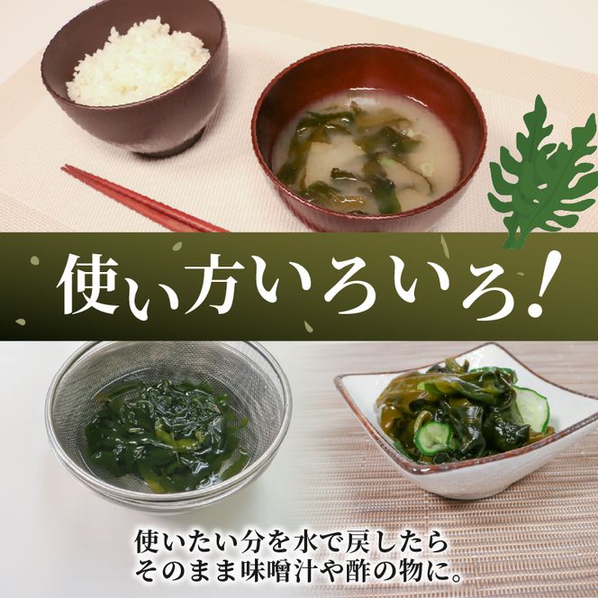 三陸産 塩蔵わかめ 80g×8袋 計640g 小分け [nomura035_1]