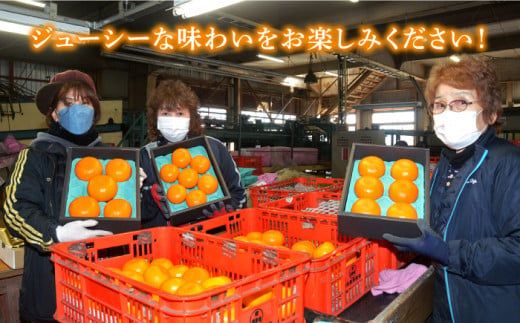 【2027年2月～発送】期間限定！せとか 2kg / みかん 贈答用 化粧箱 南島原市 / JA島原雲仙東南部基幹センター[SAC002] 