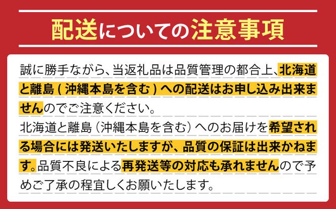 【2026年5月中旬～発送】肥後グリーンメロン 2玉（合計4kg以上） 果物 フルーツ / 南島原市 / 長崎県農産品流通合同会社[SCB088]