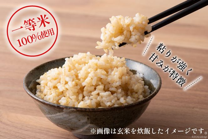 【6ヶ月定期便】【一等米100％】ばんどり米（コシヒカリ）玄米 10kg [農事組合法人東和 富山県 舟橋村 57050230]お米 美味しい こしひかり 富山 農家