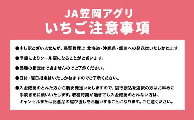 いちご食べ比べセット２種（「紅ほっぺ」「ゆめのか」「おいＣベリー」から２種お届け！）250g4パック 先行予約 JA笠岡アグリ《1月中旬出荷》岡山県 笠岡市 送料無料 苺 フルーツ 果物 お取り寄せ---K-03---